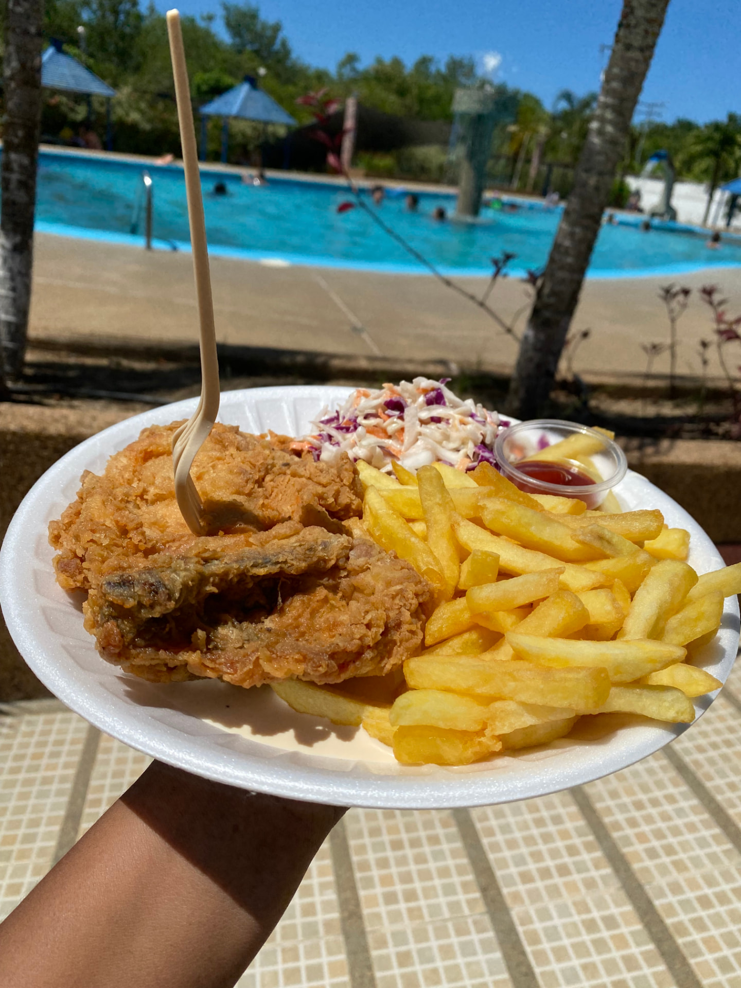 Pollo frito con papas fritas y ensalada de repollo